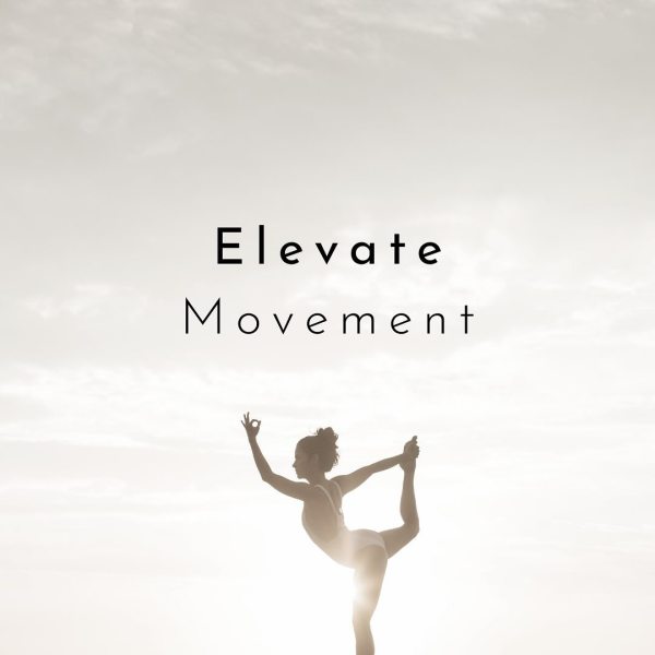 elevate